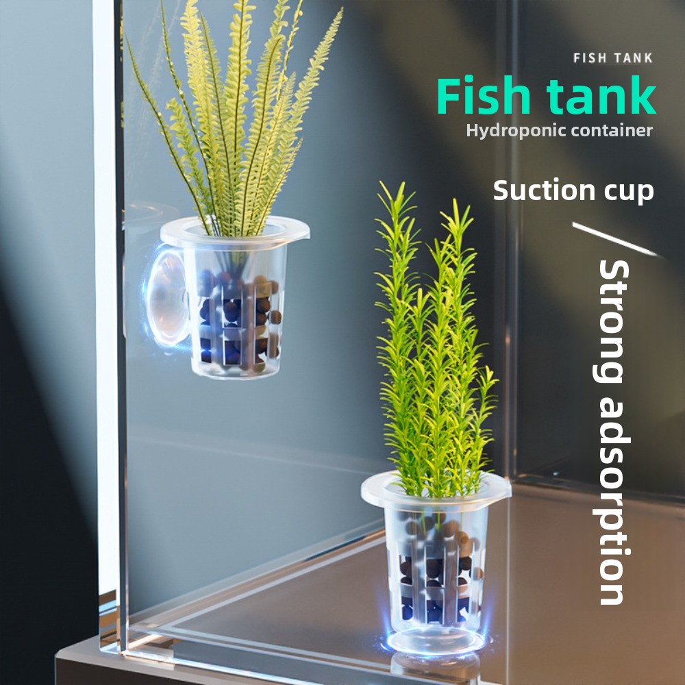 Plant Aquarium Pot - 10Pcs 투명 식물 수경 재배 냄비