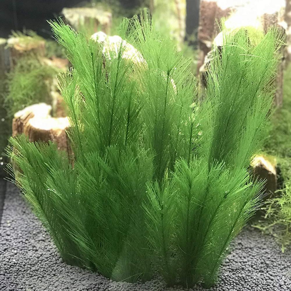 Live Plant Aquarium - 1/3Pcs 28/40cm 수족관 물고기 탱크 인공
