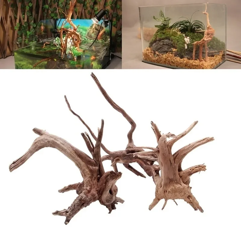 Live Plant Aquarium - 천연 나무 줄기 유목 수족관 어항,
