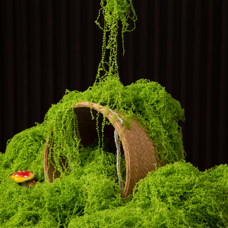 Aquarium Moss - 200g 영원한 생명 이끼 DIY 공예