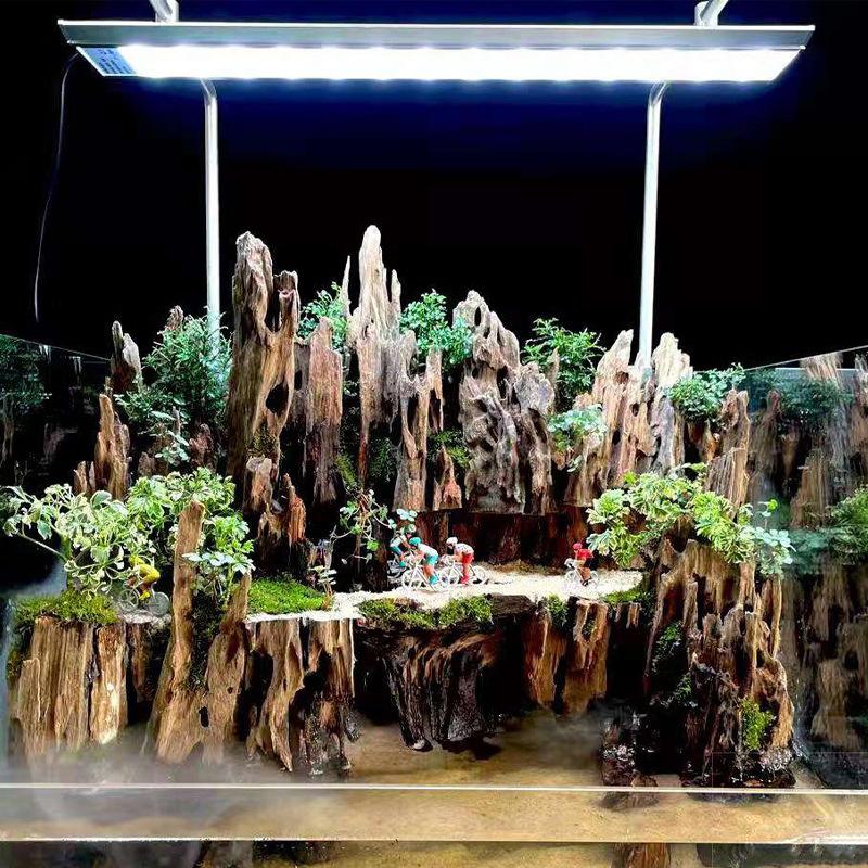 Aquarium Driftwood - 새우를 위한 자연스러운 구멍이 있는 어항