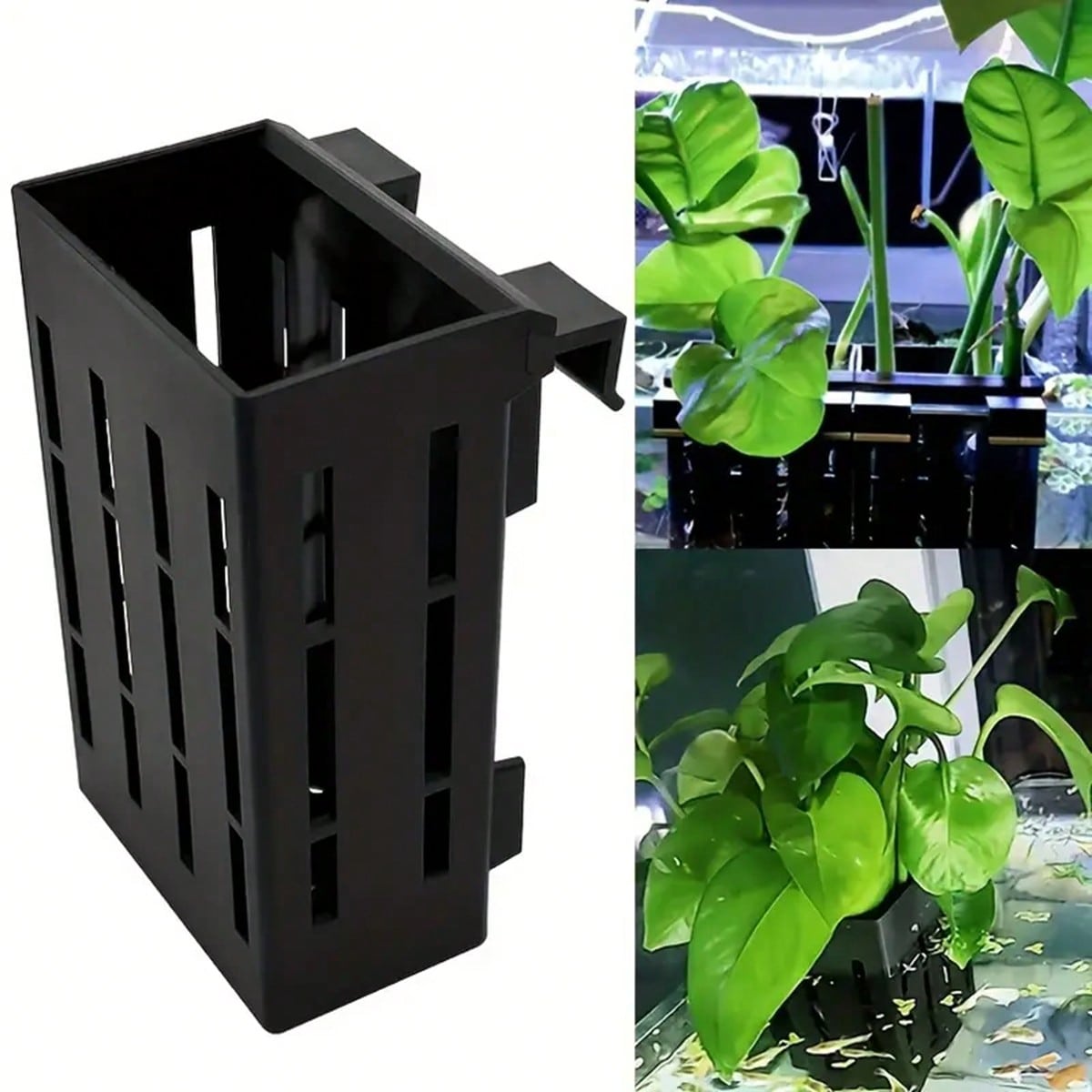 Aquarium Plant Holder - 수족관 식물 홀더 물고기 탱크 수생