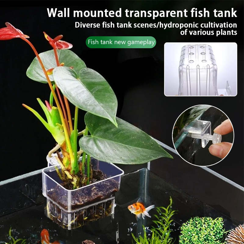 Aquarium Plant Holder - 수족관 걸이형 화분 컵 벽걸이 수생