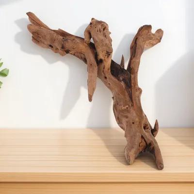 Aquarium Driftwood - 어항 장식용 죽은 나무 20-25cm 자연목