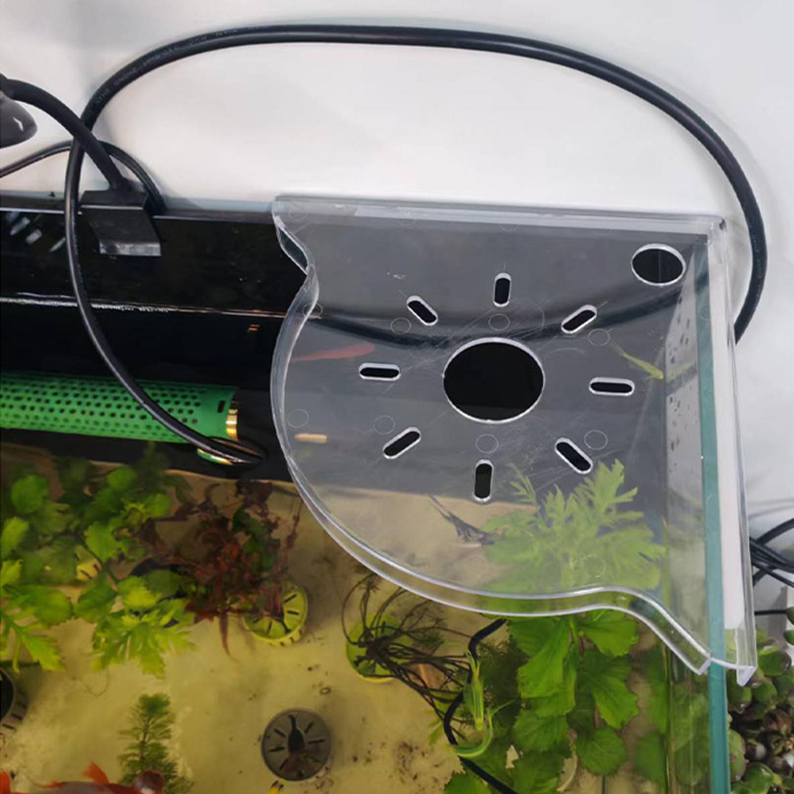 Aquarium Plants Live - 삼각형 어항 코너 수납 랙 수족관