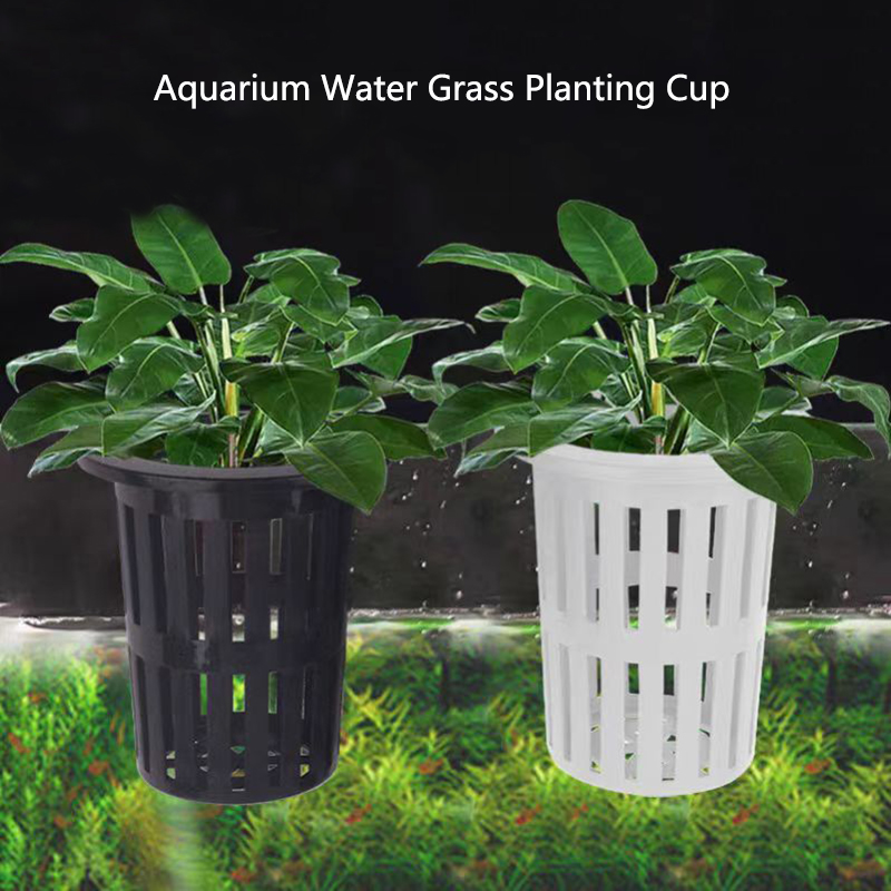 Aquarium Plant Holder - 1/3Pcs 수족관 식물 바구니 물고기 탱크에