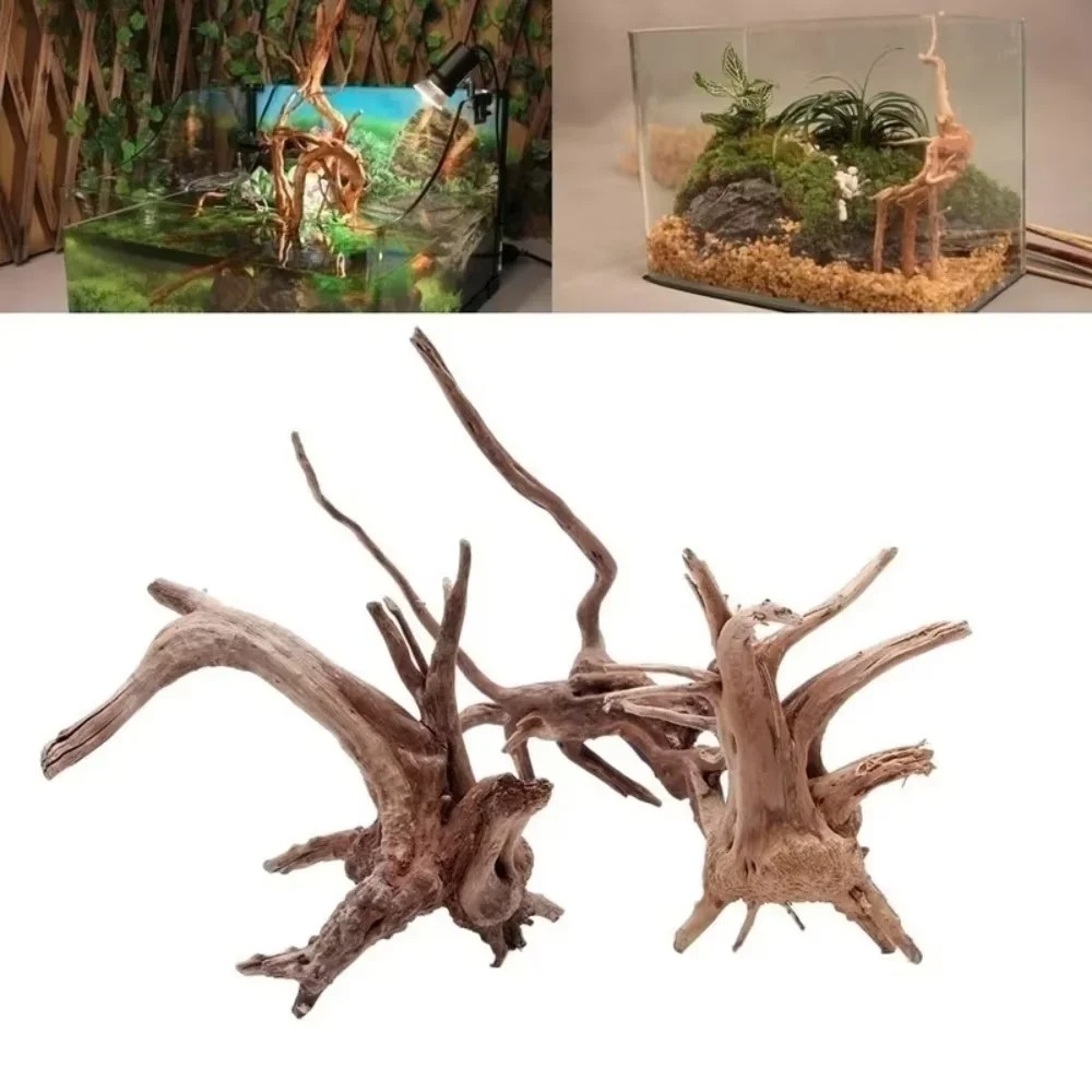 Aquarium Driftwood - 15-20CM 천연 유목 수족관 장식 -
