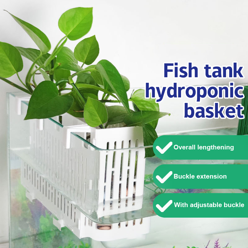Aquarium Plant Holder - 【F】어항용 걸이형 수초 홀더 내열성 수경재배
