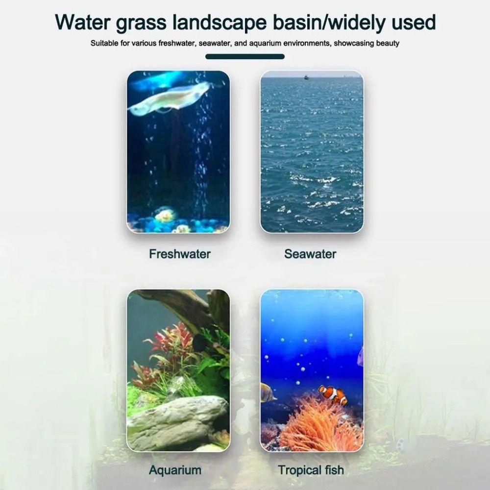 10Pcs 투명 식물 수경 재배 냄비 플라스틱 흡입 베 - Plant Aquarium Pot 리뷰 및 가격