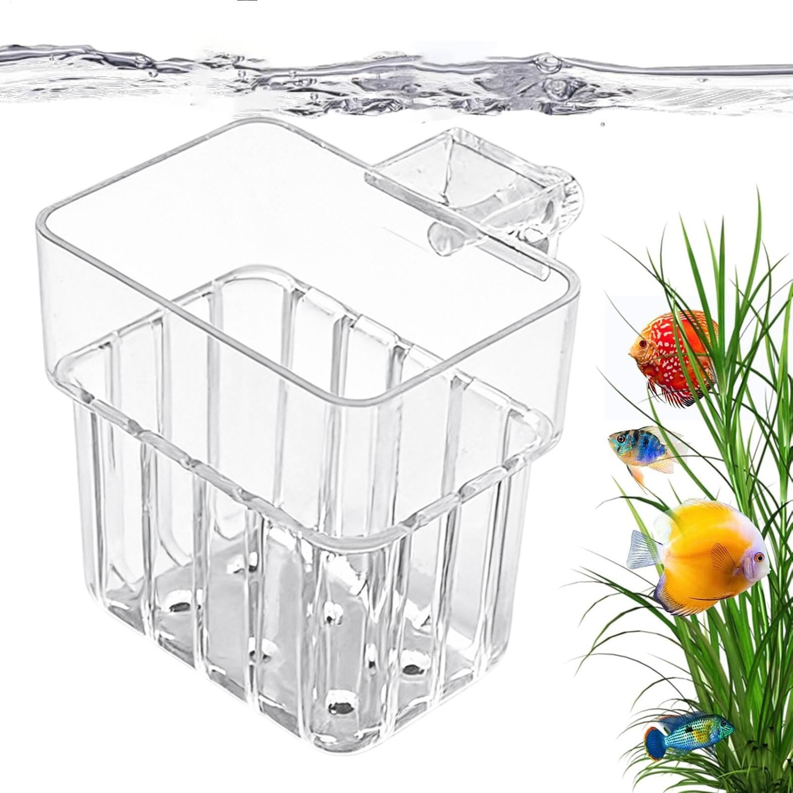 투명한 걸이형 수족관 식물 홀더 화분 - 어항 수경재배 - Plant Aquarium Pot 리뷰 및 가격