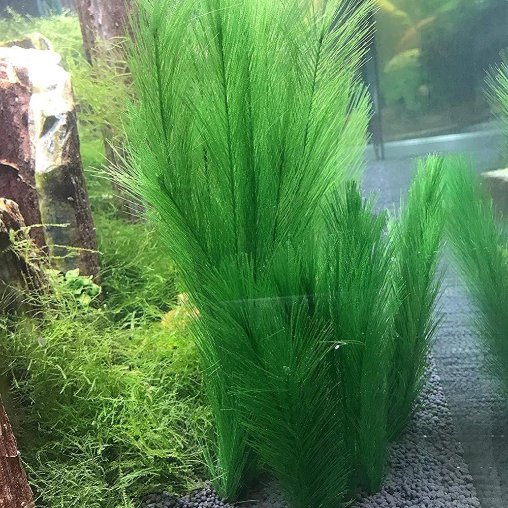 1/3Pcs 28/40cm 수족관 물고기 탱크 인공 물 - Live Plant Aquarium 리뷰 및 가격