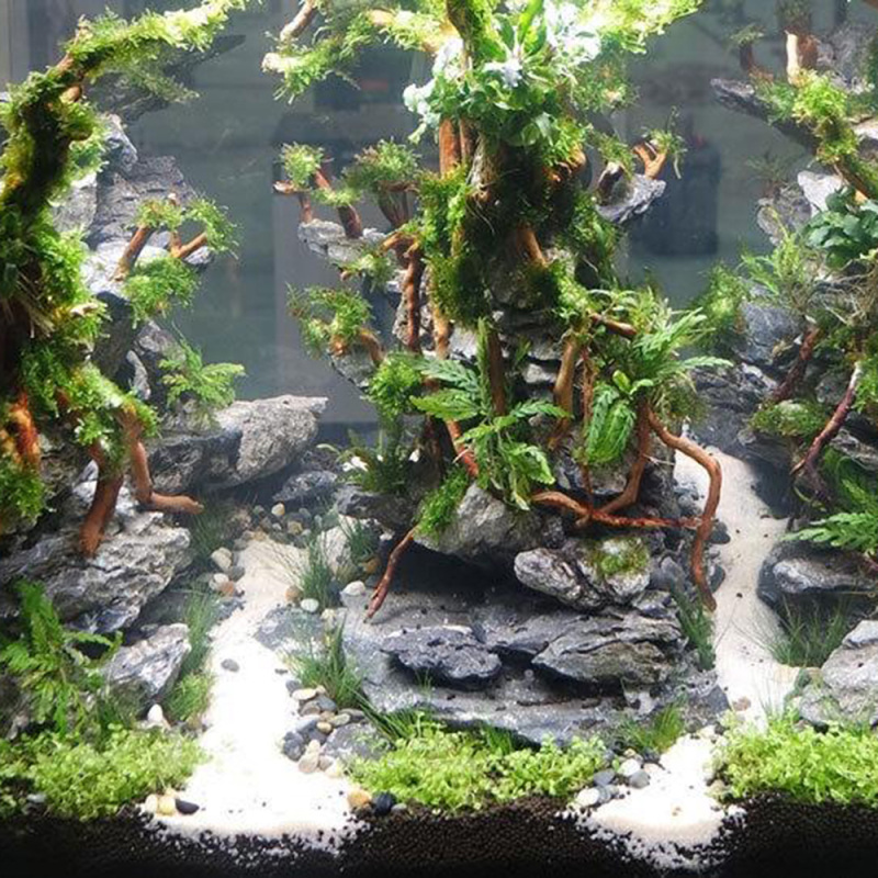 수족관 미니어처 풍경 DIY용 천연 유목 뿌리나무 장식 - Aquarium Driftwood 리뷰 및 가격