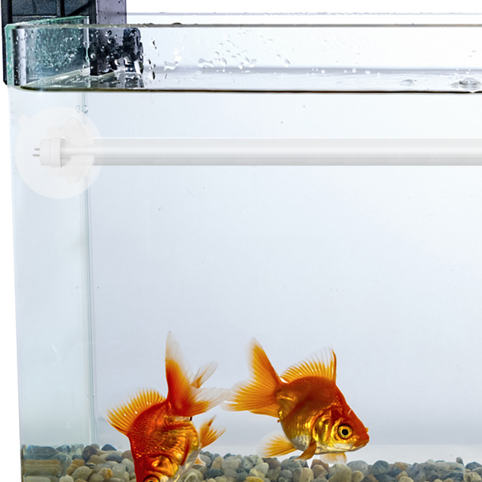 어항용 실리콘 조명 받침대 6개 세트, 흡착식 스탠드, - Aquarium Plant Light 리뷰 및 가격