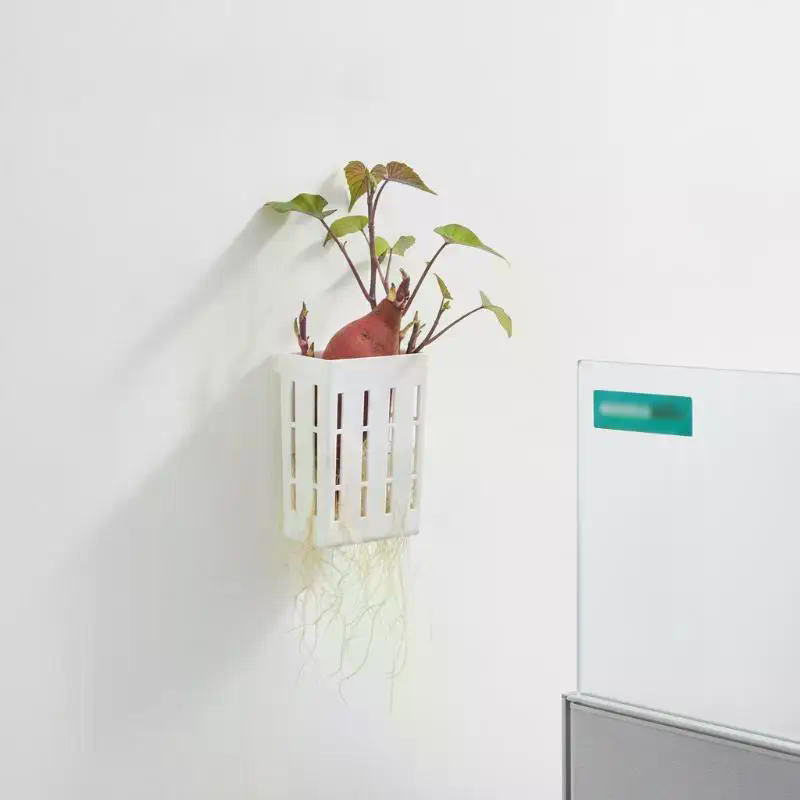 1개 수경재배 지지 바구니 어항 식물 재배 컵 수초 수 - Planted Tank 리뷰 및 가격