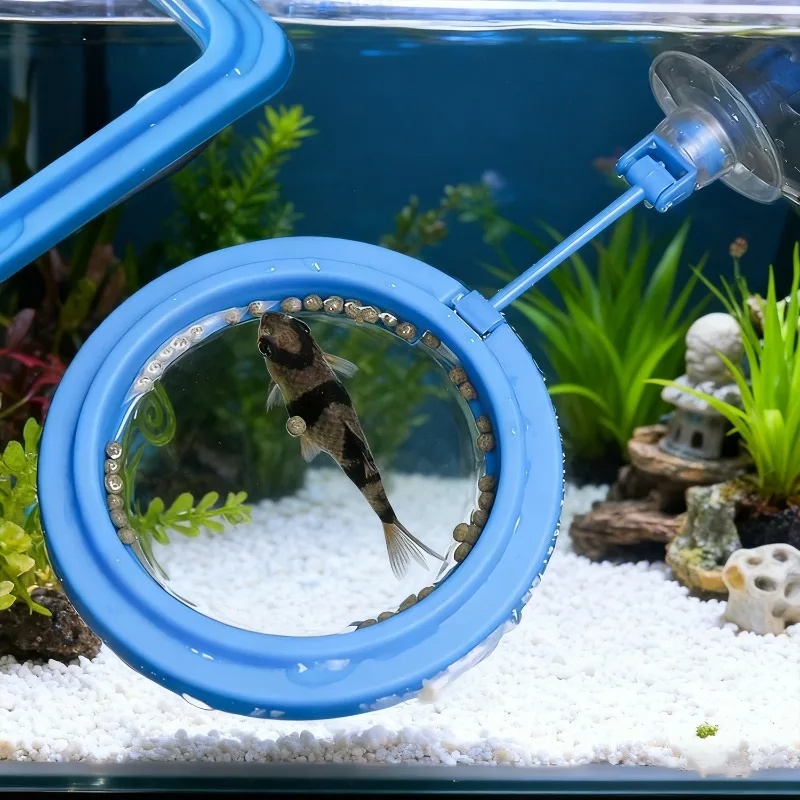 수족관 먹이 링 어항 스테이션 플로팅 푸드 트레이 피더 - Aquarium Fertilizer 리뷰 및 가격