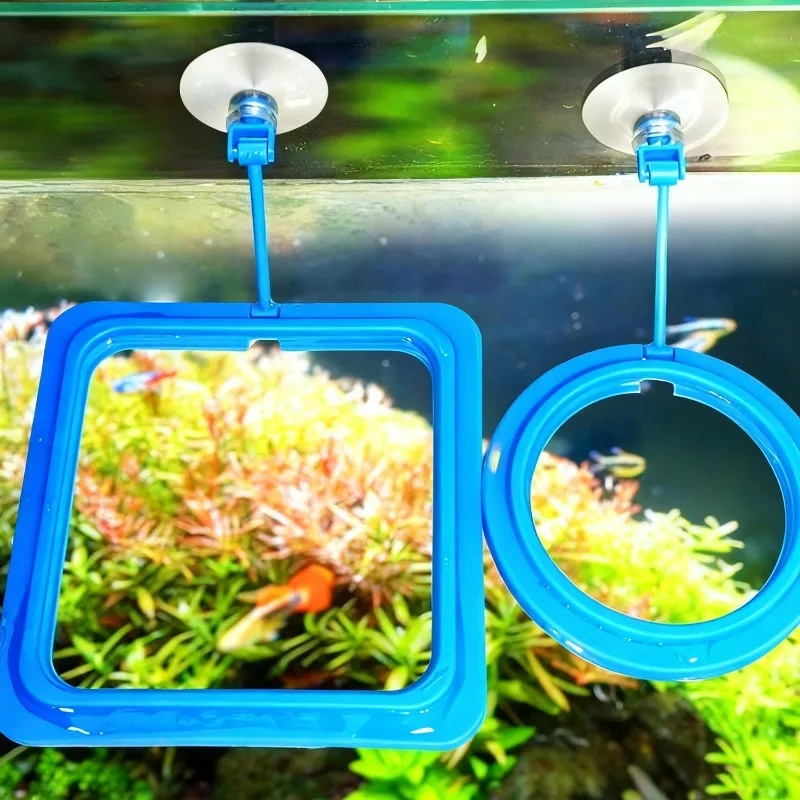 수족관 먹이 링 어항 스테이션 플로팅 푸드 트레이 피더 - Aquarium Fertilizer 리뷰 및 가격