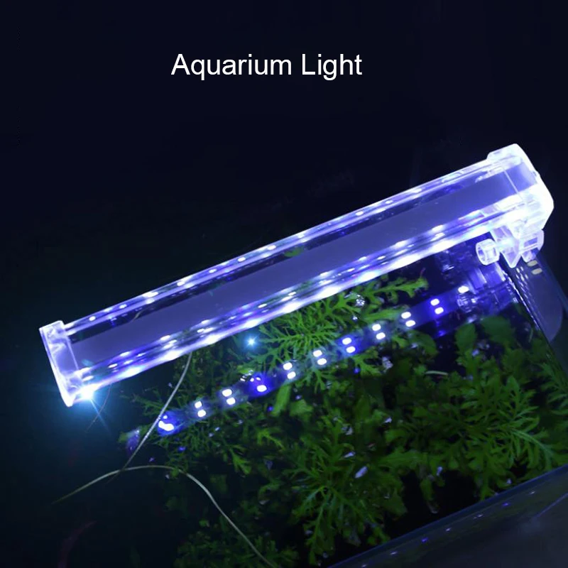 높은 투명 LED 수족관 조명 식물 성장 수생 식물 조 - Aquarium Plant Light 리뷰 및 가격
