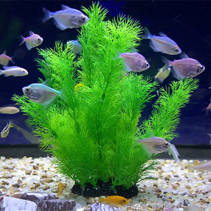 인공 수족관 장식 식물 수중 물 잔디 수족관 장식을위한 - Aquarium Plant Substrate 리뷰 및 가격