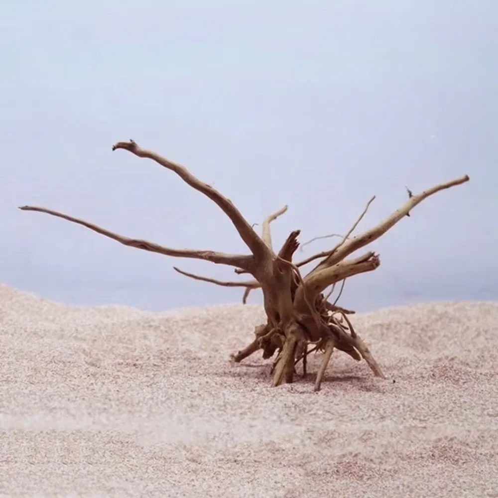 15-20CM 천연 유목 수족관 장식 - 프리미엄 나무 - Aquarium Driftwood 리뷰 및 가격