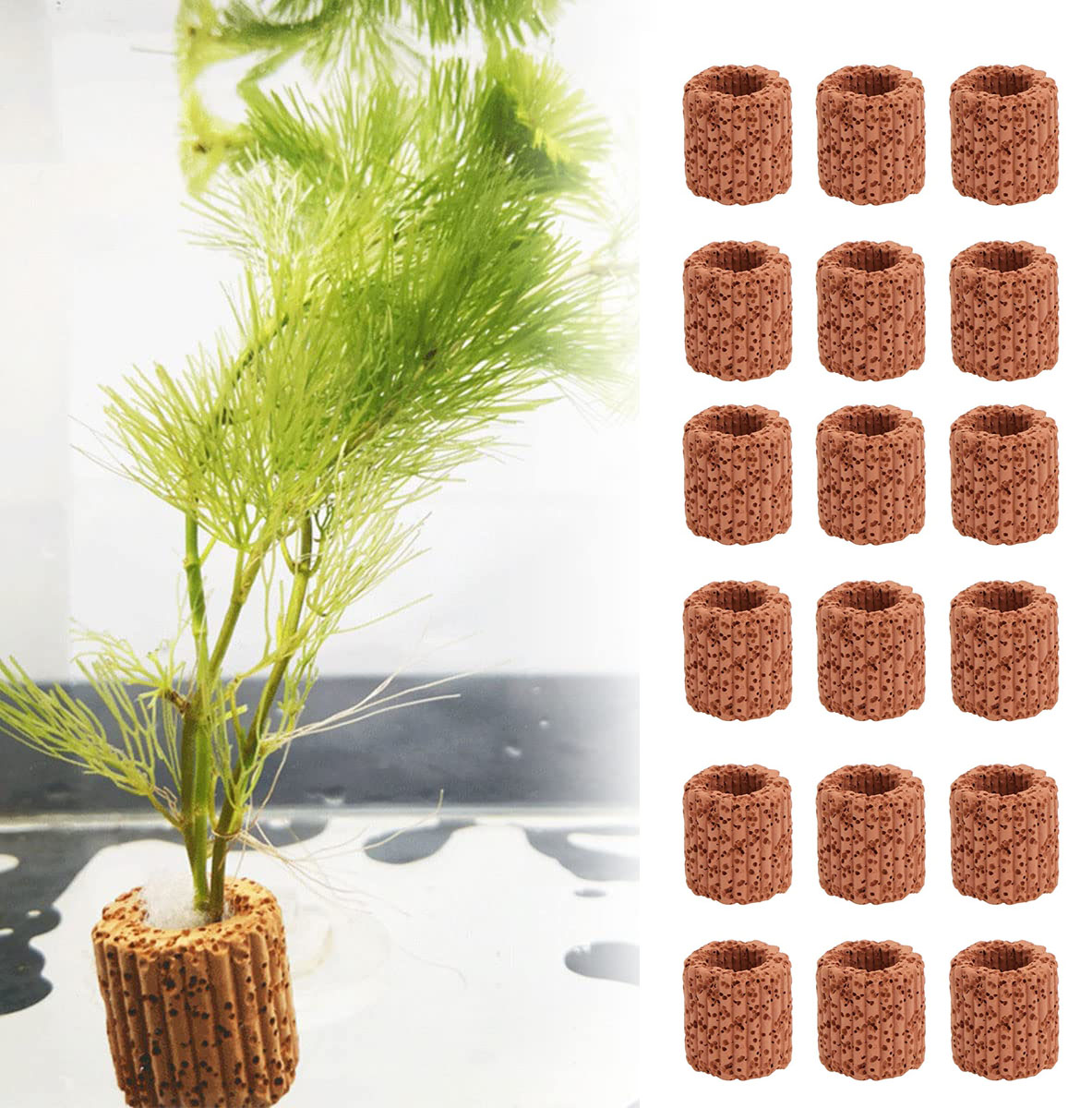 수생 수생 식물 고정 링 베이스, 수족관 조경 세라믹  - Aquarium Plants Live 리뷰 및 가격