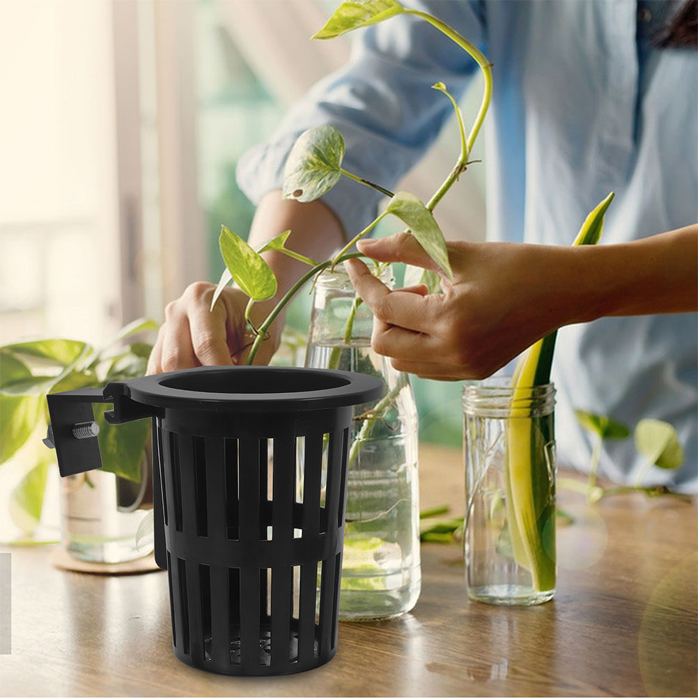 수직 녹화를 위한 6개 세트의 수경 재배 바구니, 벽걸 - Aquarium Plant Holder 리뷰 및 가격