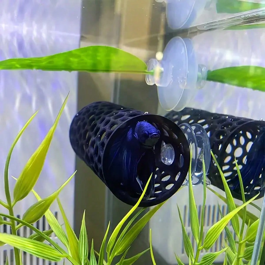 베타 물고기 은신처 속이 빈 튜브 장식품, 흡착판이 있 - Aquarium Plants Live 리뷰 및 가격