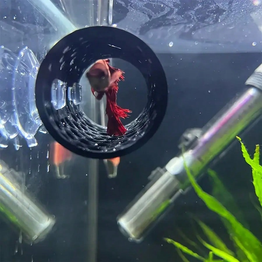 베타 물고기 은신처 속이 빈 튜브 장식품, 흡착판이 있 - Aquarium Plants Live 리뷰 및 가격
