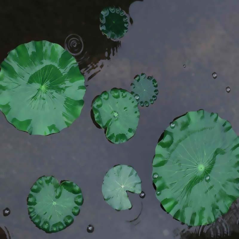 2026년 인공 수련 꽃 없는 연잎 연못 장식 수족관  - Aquarium Plant Substrate 리뷰 및 가격