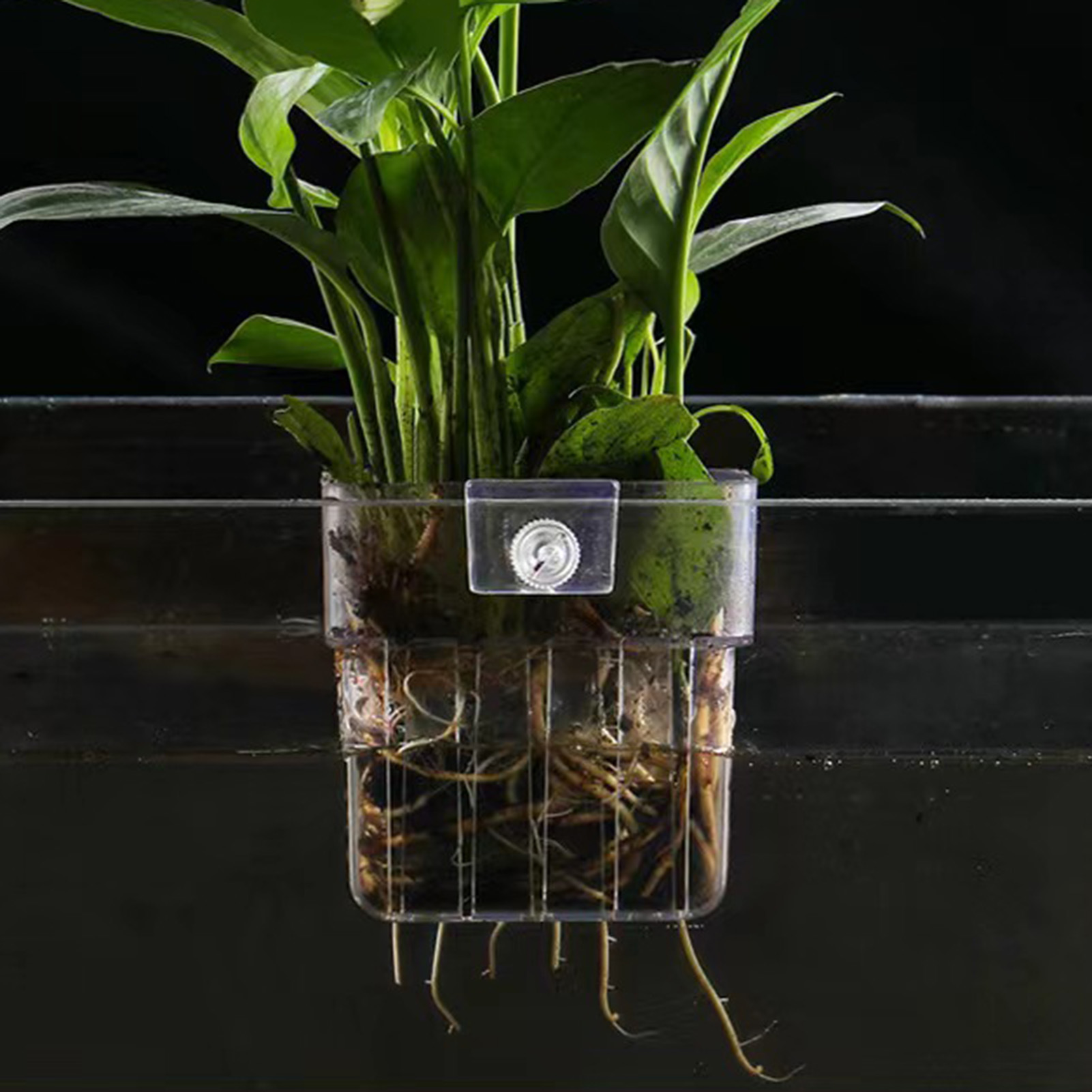 투명 아크릴 재질의 수경 재배용 화분, 어항용 수초 화 - Aquarium Plant Holder 리뷰 및 가격