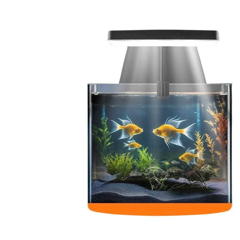 USB 수족관 클립 조명, 가정 사무실 데스크탑 어항  - Planted Tank 리뷰 및 가격