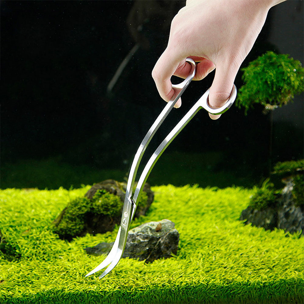 수족관 액세서리 하드 스테인레스 스틸 수족관 도구 가위 - Planted Aquarium Cleaning 리뷰 및 가격