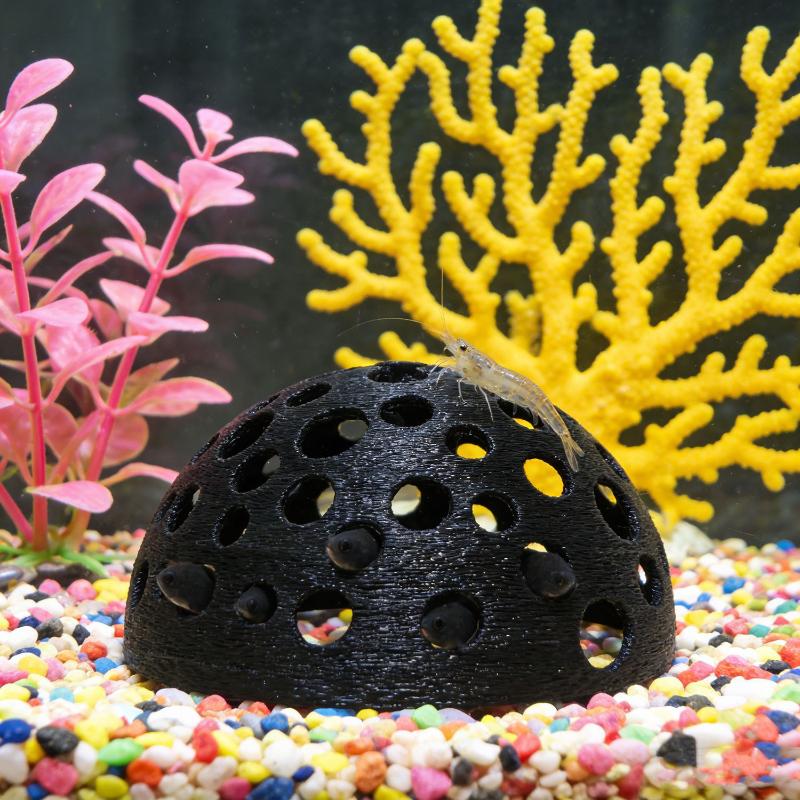 작은 물고기와 번식, 휴식, 놀이를 위한 수족관 숨은  - Aquarium Plants Live 리뷰 및 가격