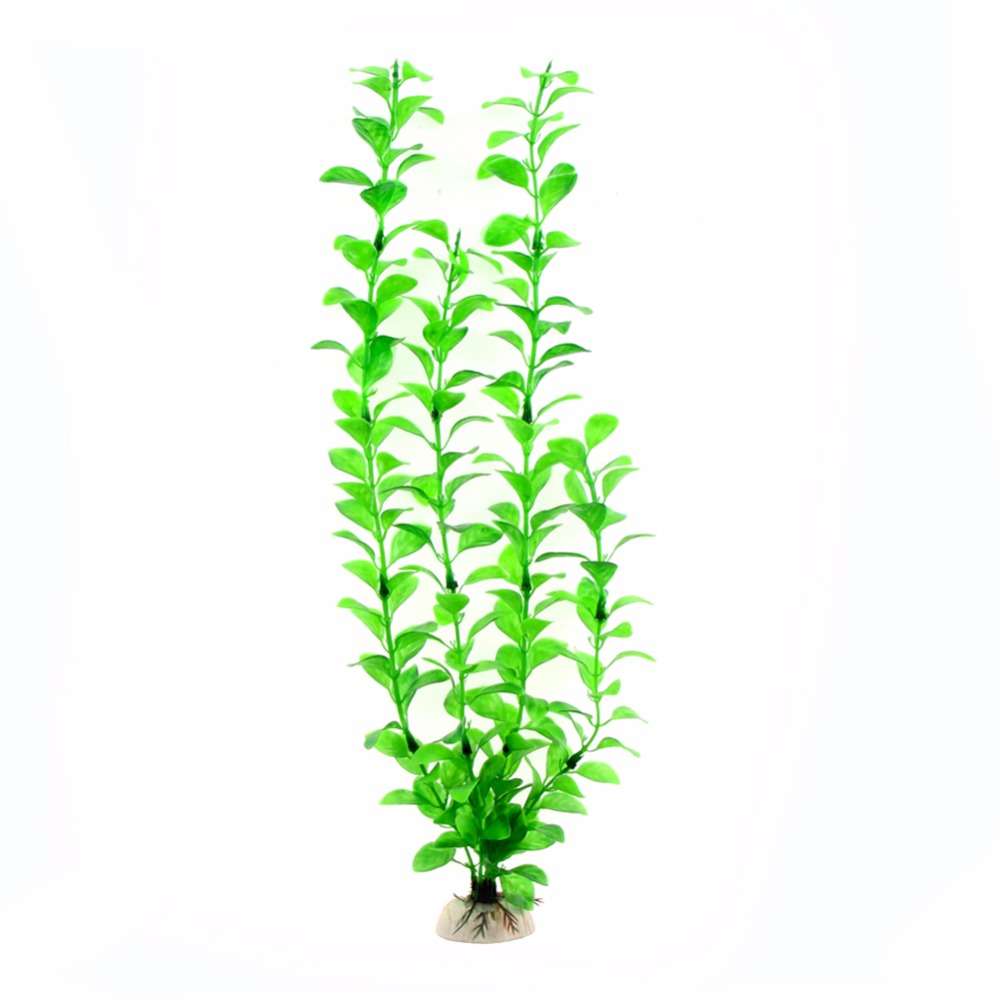 장식 수족관 액세서리 인공 수중 식물 수족관 물고기 탱 - Live Plant Aquarium 리뷰 및 가격