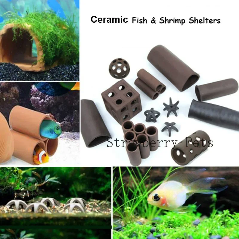 세라믹 수족관 장식 물고기 새우 보호소 집 도자기 전갈 - Aquarium Driftwood 리뷰 및 가격