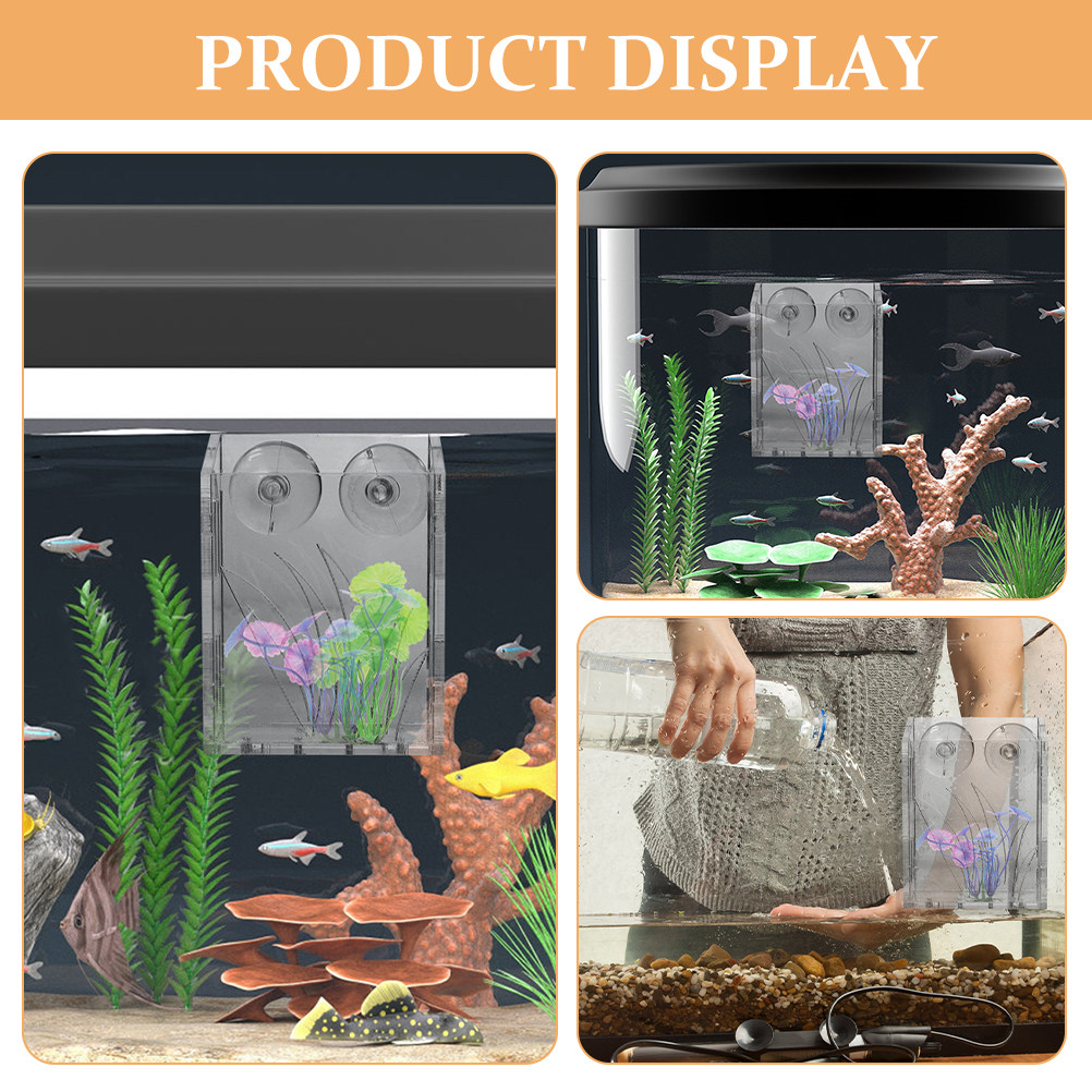 3개 세트, 투명한 수조 식물 홀더, 흡착식 디자인,  - Aquarium Plant Holder 리뷰 및 가격