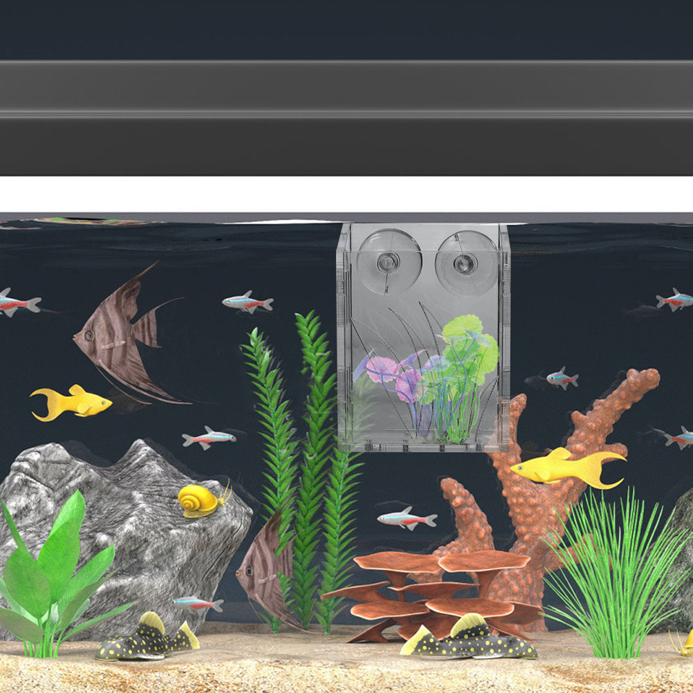 3개 세트, 투명한 수조 식물 홀더, 흡착식 디자인,  - Aquarium Plant Holder 리뷰 및 가격