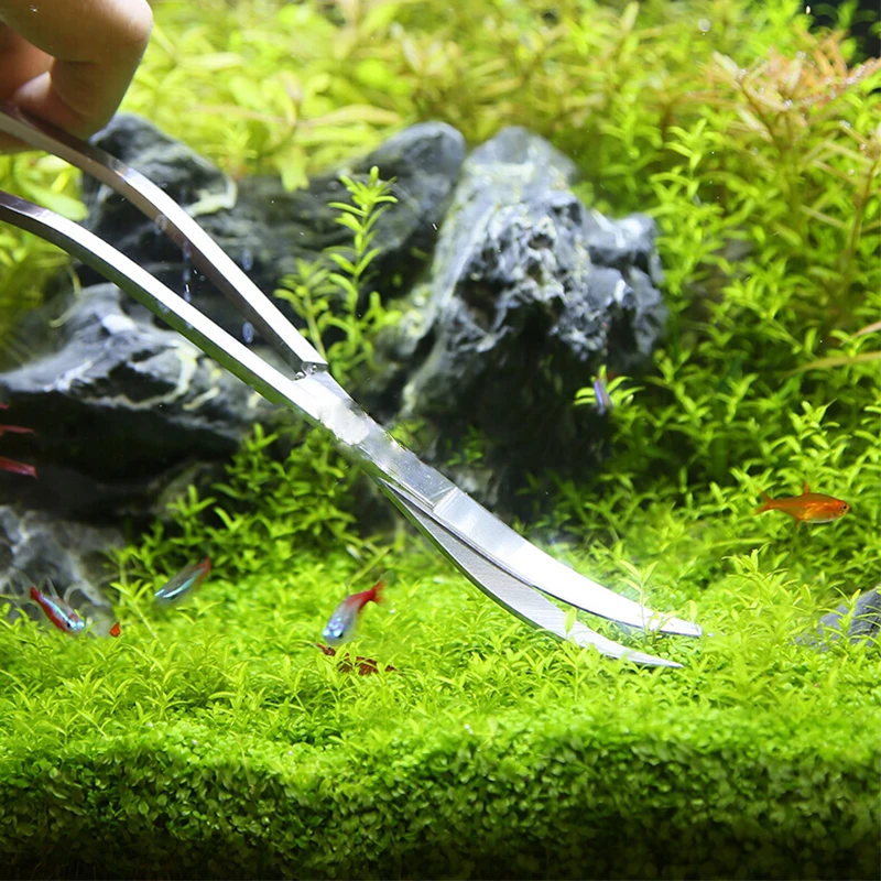 수족관 가위 도구 물고기 탱크 족집게 식물 웨이브 가위 - Aquarium Plant Holder 리뷰 및 가격