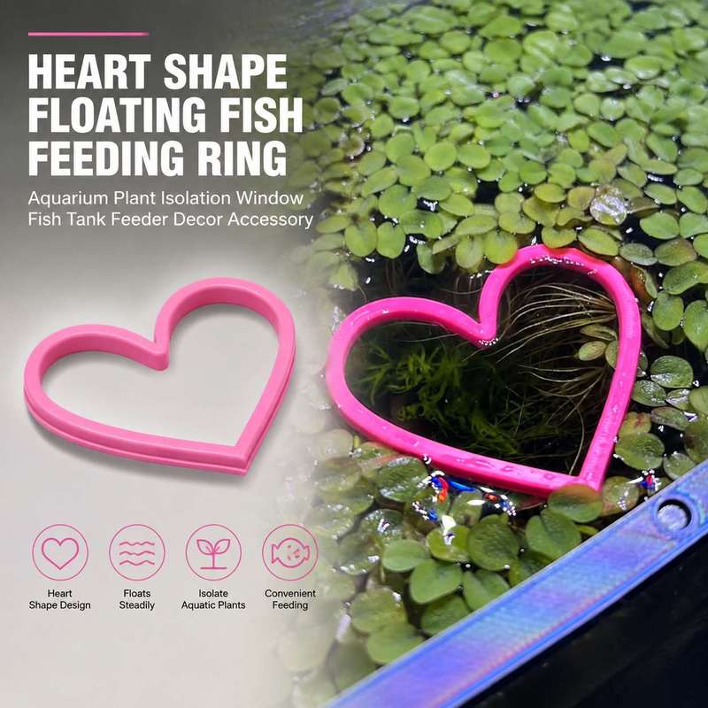 하트 모양의 물고기 먹이 공급 링 수족관 어항 물고기  - Aquarium Fertilizer 리뷰 및 가격