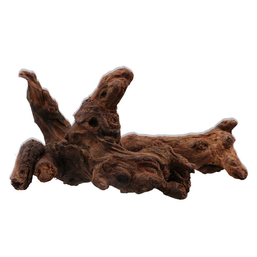 창의적인 불규칙 모양의 산호나무 천연 나무 유목 트렁크 - Aquarium Driftwood 리뷰 및 가격