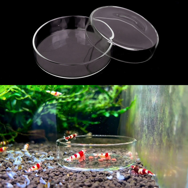 새우 먹이 접시 높은 투명 유리 먹이 접시 물고기 탱크 - Aquarium Fertilizer 리뷰 및 가격