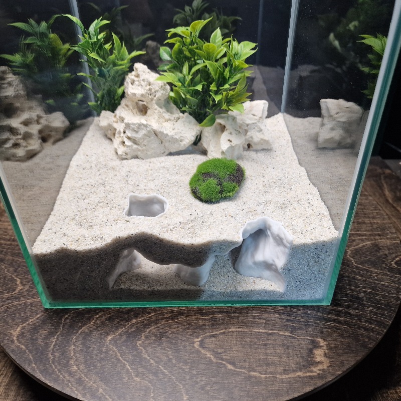 프리미엄 3D 프린트 해변 모래 수족관 동굴 쉼터 물고 - Aquarium Driftwood 리뷰 및 가격
