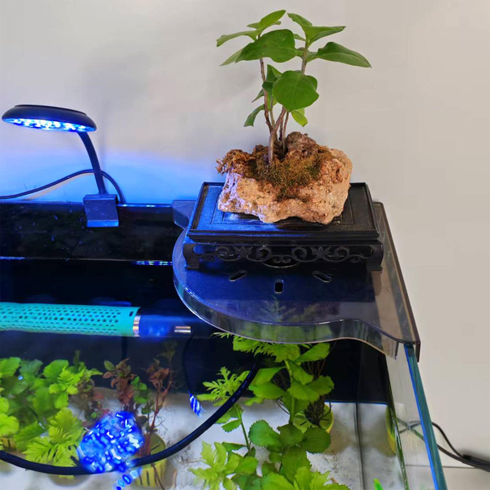 삼각형 어항 코너 수납 랙 수족관 식물 홀더 펀치 없는 - Aquarium Plants Live 리뷰 및 가격