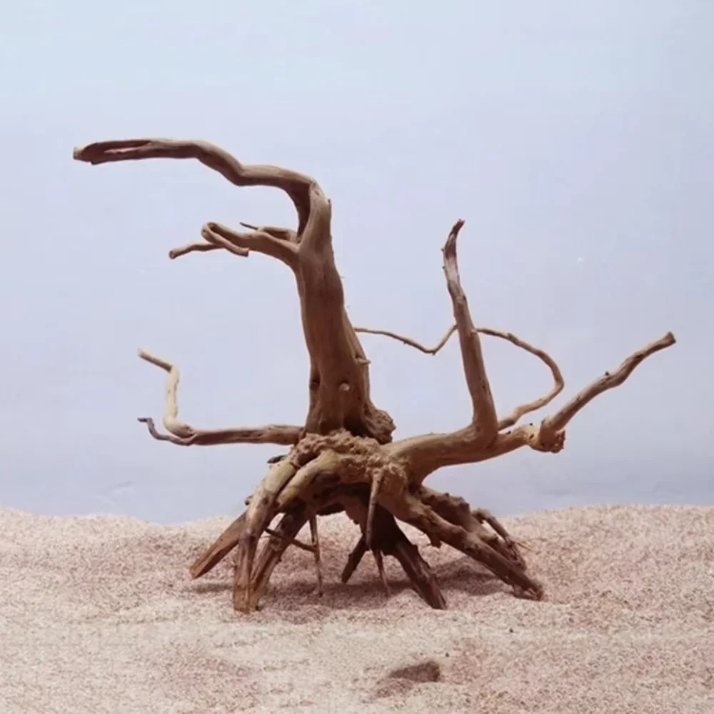 15-20CM 천연 유목 수족관 장식 - 프리미엄 나무 - Aquarium Driftwood 리뷰 및 가격