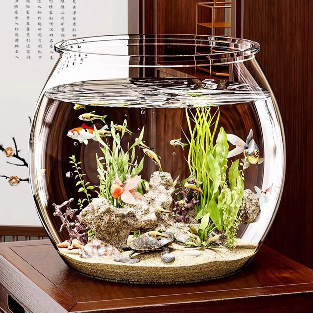 투명 플라스틱 원형 어항 수족관 거실 탁상용 꽃병 셀프 - Plant Aquarium Pot 리뷰 및 가격