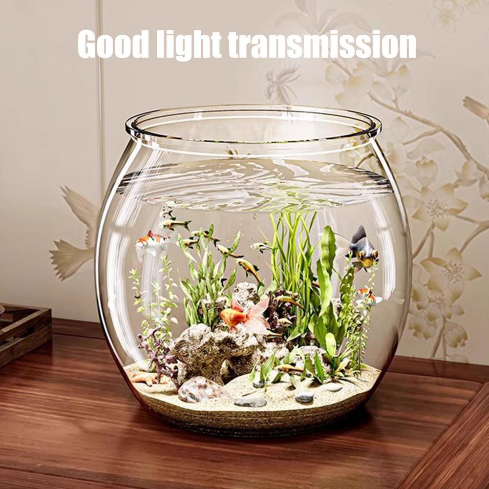 투명 플라스틱 원형 어항 수족관 거실 탁상용 꽃병 셀프 - Plant Aquarium Pot 리뷰 및 가격
