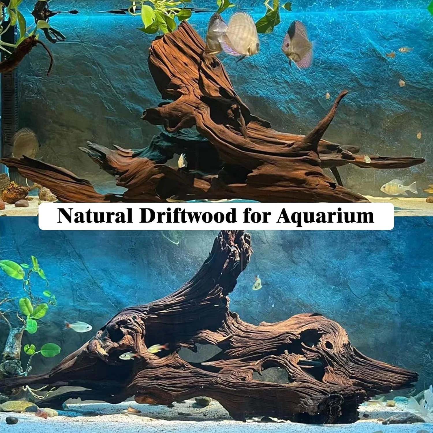 15-20CM 1개 천연 유목 산호초 장식 나무 수족관 - Aquarium Driftwood 리뷰 및 가격