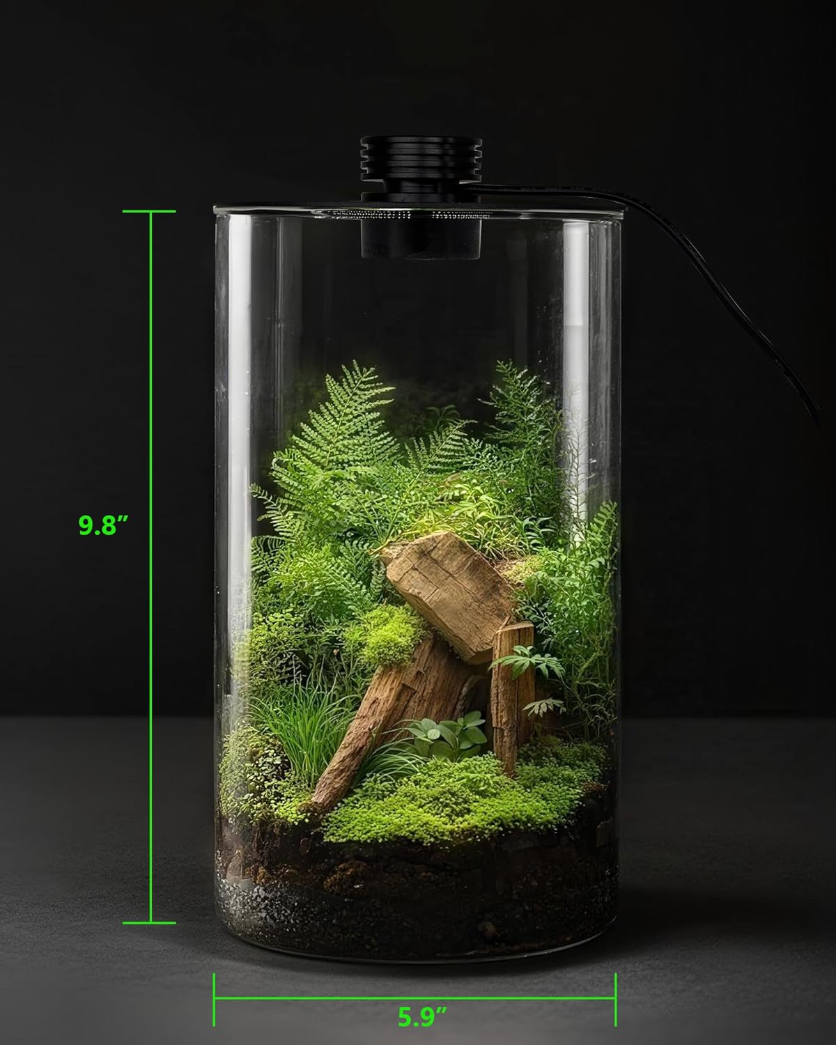 실내 유리 테라리움(조명 포함), 9.8인치 높이 ×  - Planted Tank 리뷰 및 가격