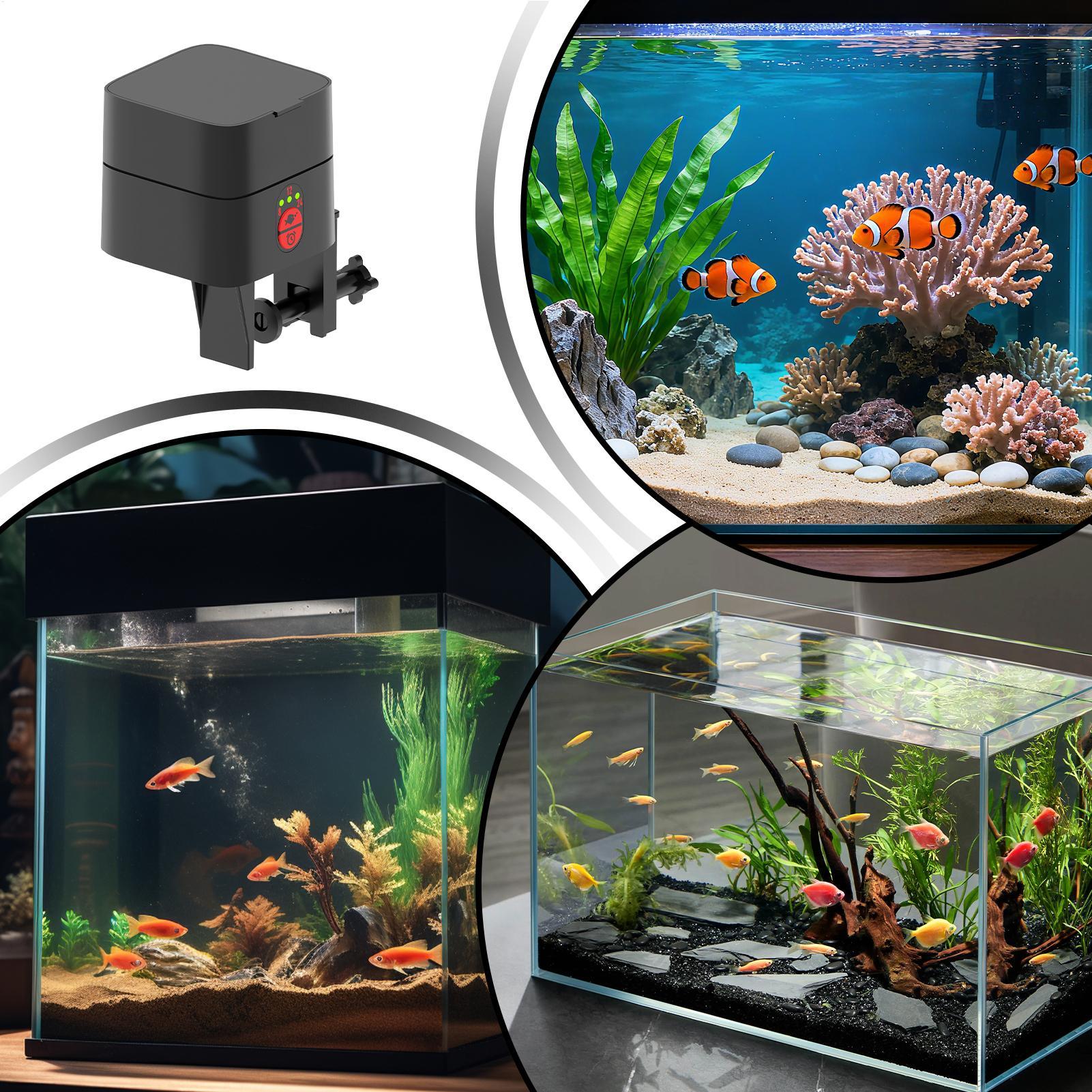 수족관용 자동 물고기 급식기, 자동 타입-C 충전식 디 - Aquarium Fertilizer 리뷰 및 가격