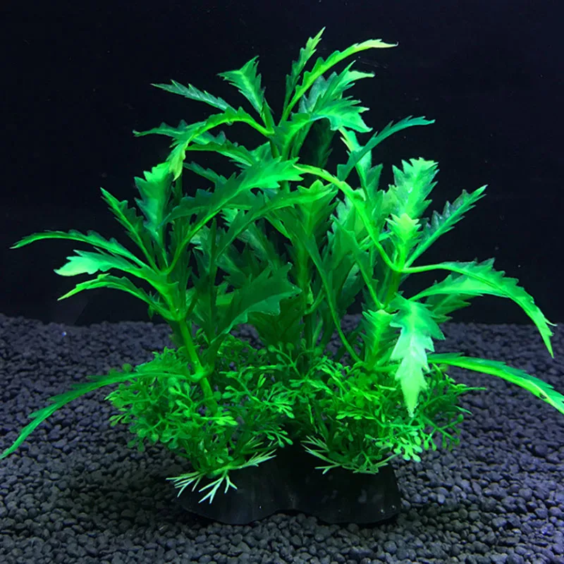 수족관 인공 장식 식물 시뮬레이션 물 잡초 장식 물고기 - Live Plant Aquarium 리뷰 및 가격