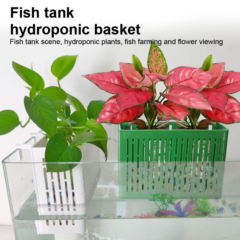 【F】어항용 걸이형 수초 홀더 내열성 수경재배 바구니  - Aquarium Plant Holder 리뷰 및 가격